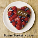 Sonar Pocket